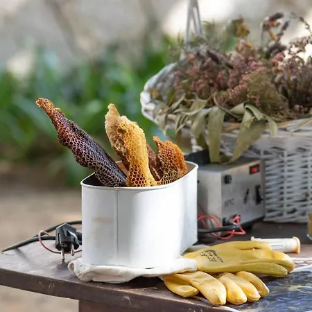 Quinta Da Foz Bauernhof *