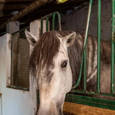 Bauernhof Quinta Da Foz Foz do Arelho