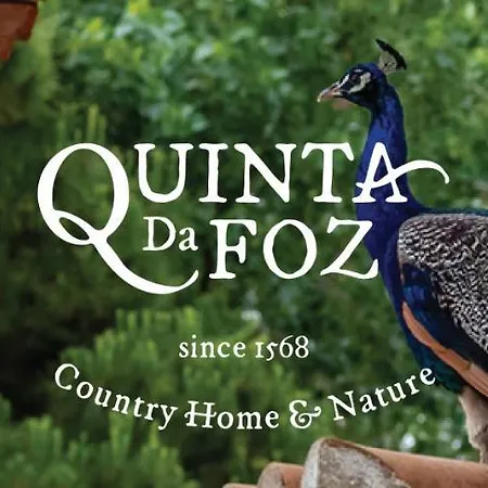Quinta Da Foz فوز دو أريلهو