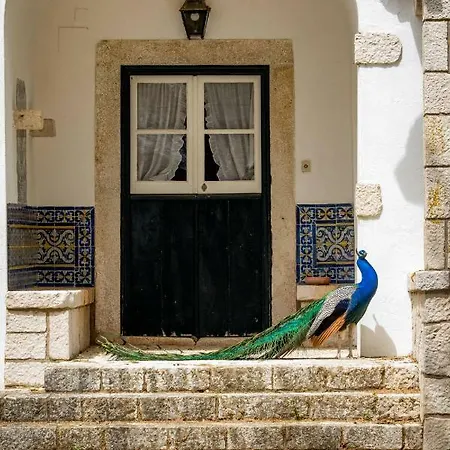 Alojamento de Turismo Rural Quinta Da Foz *