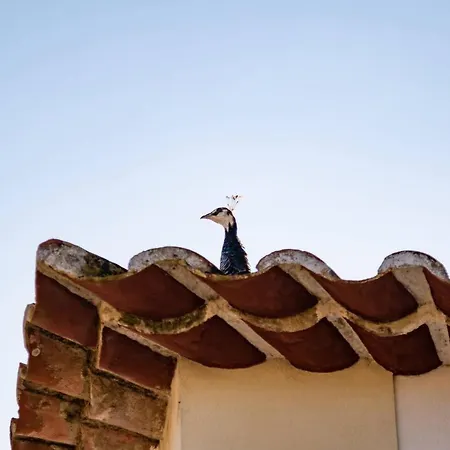 Alojamento de Turismo Rural Quinta Da Foz Foz do Arelho