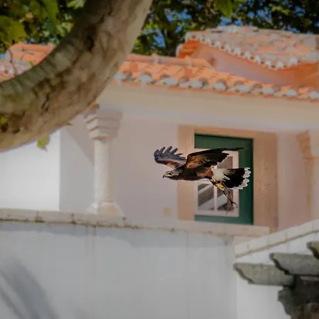 Quinta Da Foz * فوز دو أريلهو