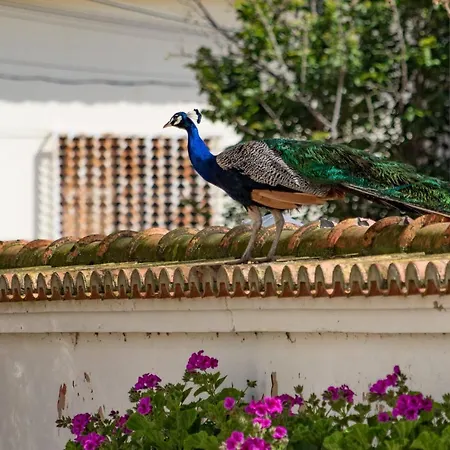 Agroturismo Quinta Da Foz *