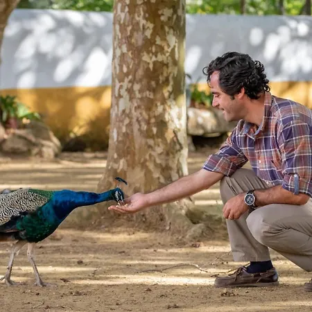 Alojamento de Turismo Rural Quinta Da Foz *
