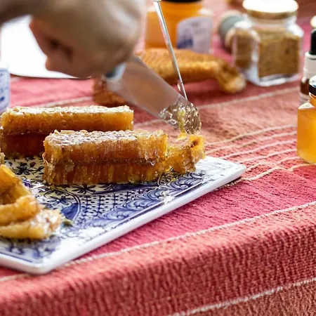 Quinta Da Foz Foz do Arelho