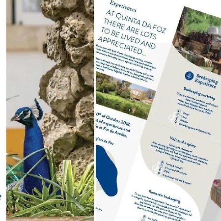 Quinta Da Foz Alojamento de Turismo Rural *