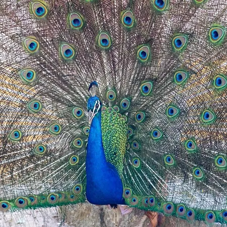 Quinta Da Foz Feriegård *