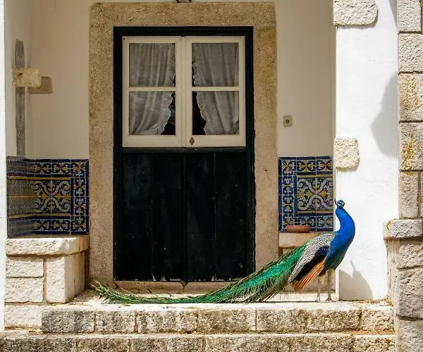 农家乐 昆塔福斯酒店 *