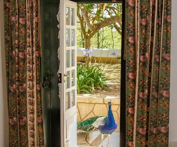 农家乐 昆塔福斯酒店 福斯·杜·阿勒奥