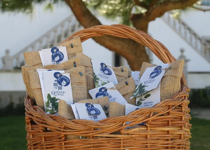 昆塔福斯酒店 农家乐