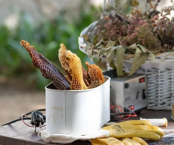 昆塔福斯酒店 农家乐 *