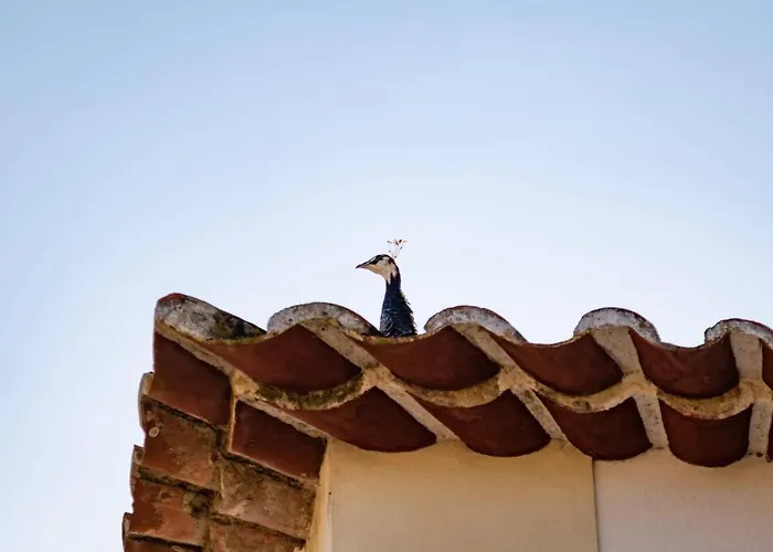 农家乐 昆塔福斯酒店 福斯·杜·阿勒奥