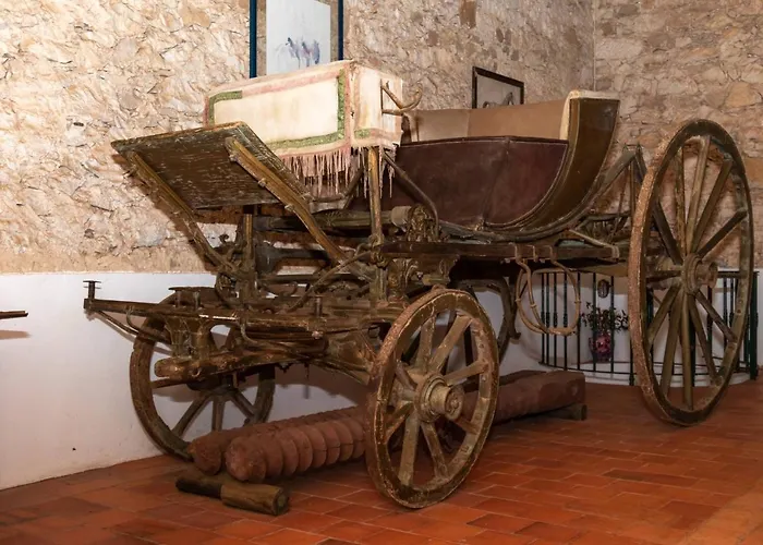 昆塔福斯酒店 农家乐