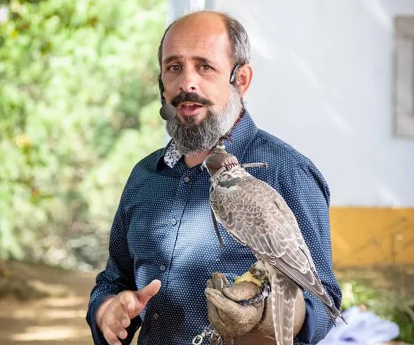 昆塔福斯酒店 * 福斯·杜·阿勒奥
