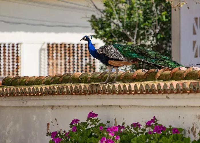 农家乐 昆塔福斯酒店 *
