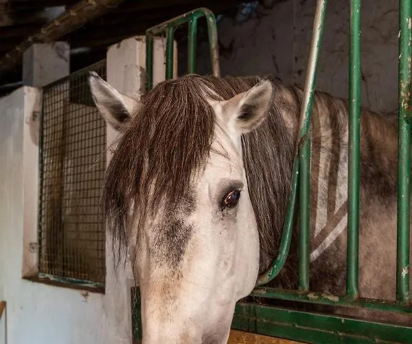 农家乐 昆塔福斯酒店 福斯·杜·阿勒奥