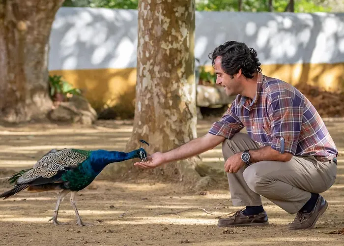 农家乐 昆塔福斯酒店 *
