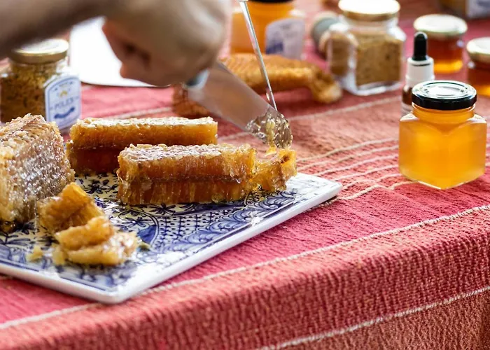 昆塔福斯酒店 福斯·杜·阿勒奥