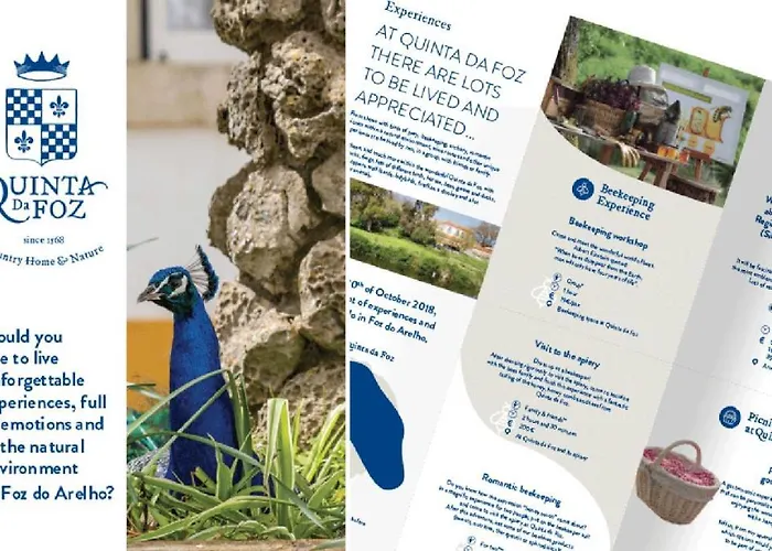 昆塔福斯酒店 农家乐 *