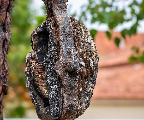 农家乐 昆塔福斯酒店 福斯·杜·阿勒奥