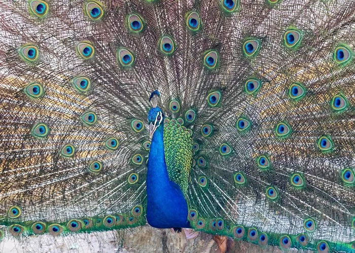 昆塔福斯酒店 农家乐 *