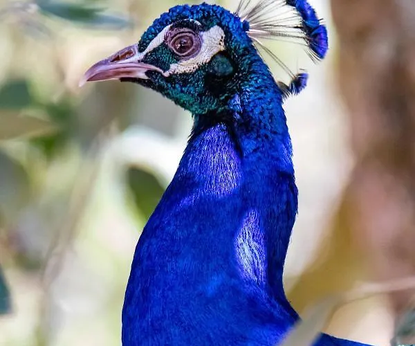 昆塔福斯酒店 农家乐